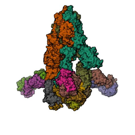 Rcsb Pdb Hp Cryo Em Structure Of Sars Cov Omicron Ba S Trimer