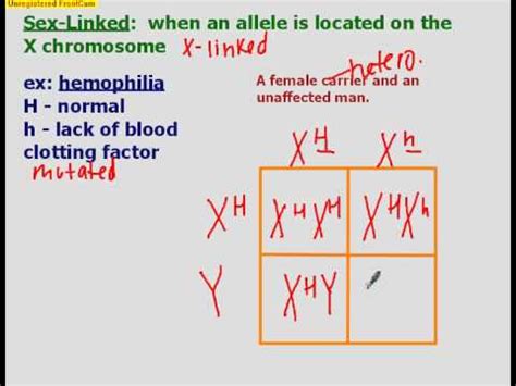 Incomplete Dominance Codominance And Sex Linked YouTube