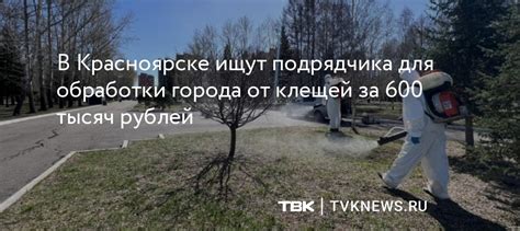 В Красноярске ищут подрядчика для обработки города от клещей за 600 ...