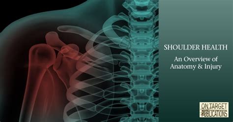 Shoulder Health An Overview Of Anatomy And Injury On Target Publications