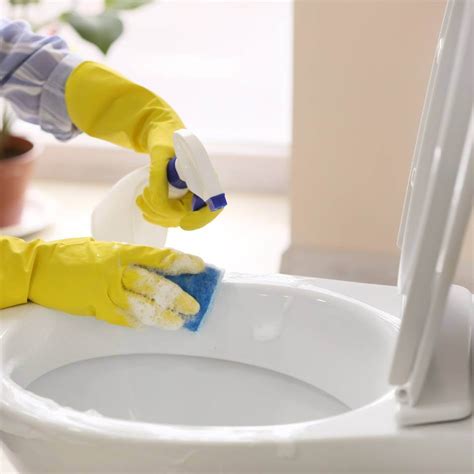 Muriatic Acid For Toilet Cleaning Destroying Toilet Stains