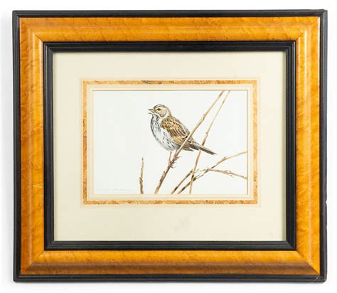 English Victorian Bird Watercolor 38