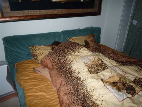 Homemade Gallery Nude Photos Porn Pic