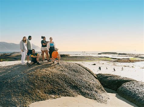 Sea Safari South Africa Tour | Contiki