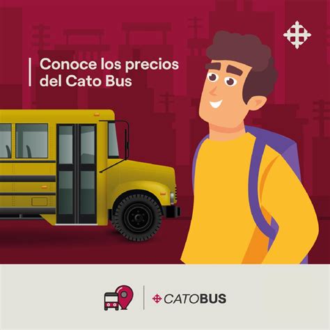 Conoce Los Precios Por Ruta Del Catobus