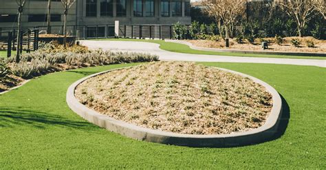 grassy area  front   tall buildings photo office buildings
