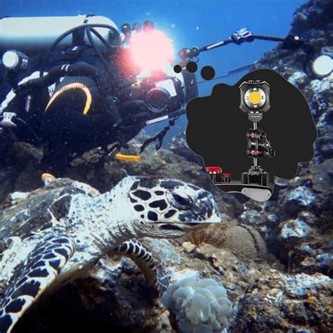 1 Ball Head Mount Hot Cold Shoe Base Adapter Connector For Underwater Diving Camera Waterproof