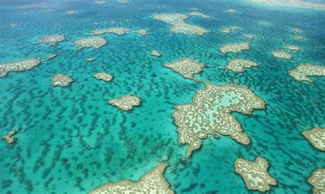 Helikopterflug Zum Great Barrier Reef Loving Australia