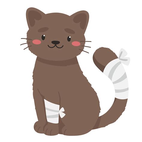 Cute cat with tail and paw injury, veterinary treatment, injured animal