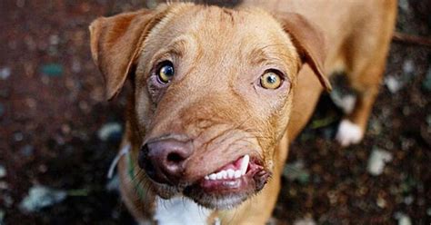 saker kvinnor gör efter sex men aldrig vill erkänna Nuntium se