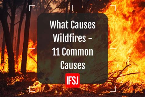 What Causes Wildfires 11 Common Reasons