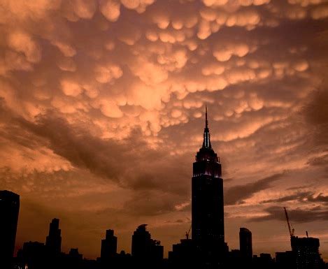 The Stylish Clouds Tits