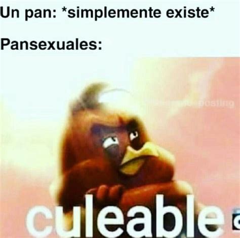Pin De Uravity Faela En M Mes Gay S Memes De Libros Memes Graciosos Memes