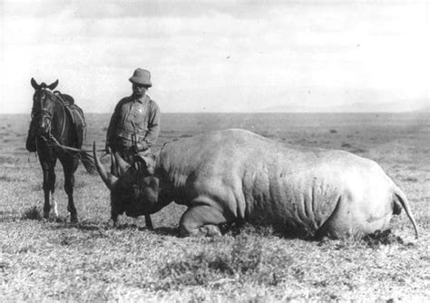 Teddy Roosevelt Hunting Endangered Animals