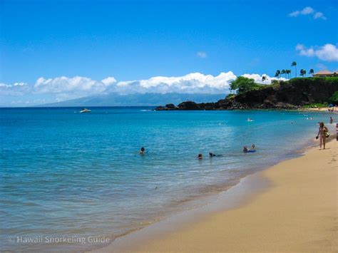 Maui Snorkeling Secrets! The Complete Guide to Snorkeling in Maui!