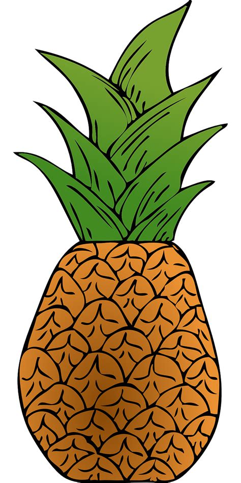 Free Pineapple Vector Art Download 87 Pineapple Icons And Graphics Pixabay