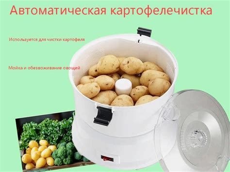 Электрическая картофелечистка Дегидратор для овощей купить на OZON по ...