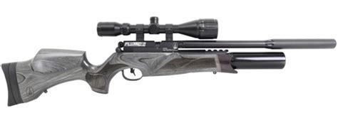 Top 5 Best Pcp Air Rifles You Can Get Your Hands On In 2023