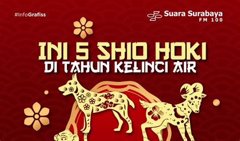 Ini 5 Shio Hoki Di Tahun Kelinci Air