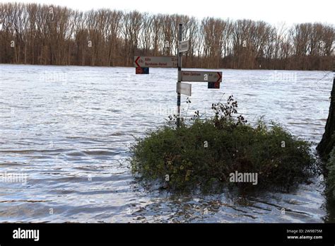 Bonn Themenfoto Wetter Hochwasser Ueberflutung Rhein Bonn 26 12