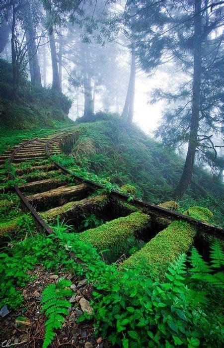 untrained rmostbeautiful
