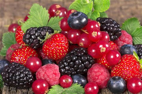 NEI FRUTTI DI BOSCO TUTTE LE TONALITÀ DELLA SALUTE - MangiareBuono