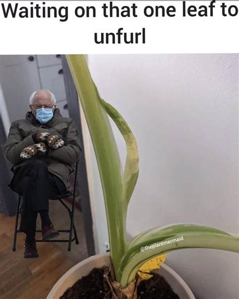 Best Bern Images On Pholder Sanders For President Most Beautiful And City Porn