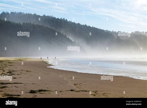 Visitors On The Beach Cape Lookout State Park Pacific Ocean Oregon