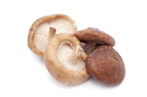 Fresh Shiitake Mushrooms Free Stock Image