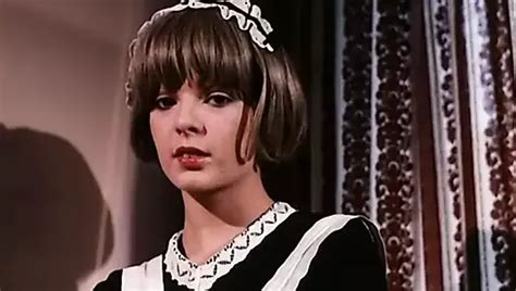 Vintage Cum On Hairy Pussy Comp Cumshot Porn XHamster