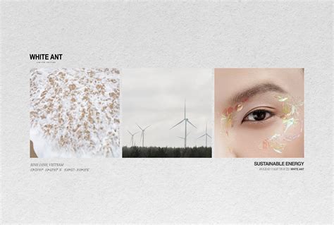 High Quality Stunning Hira Long Skirt Woman Fashion Clothes Skirts For