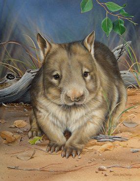 natalie jane parker hamster painting wombat drawing realistic hairy