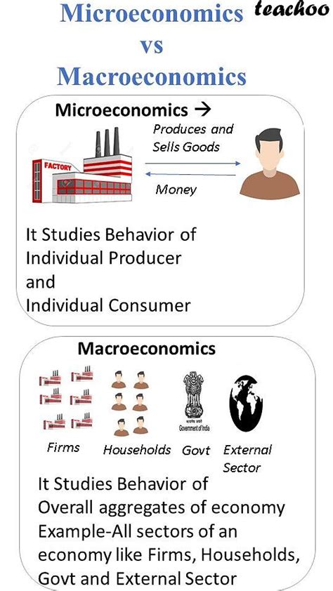 Difference Between Macroeconomics And Microeconomics Eco Class 12