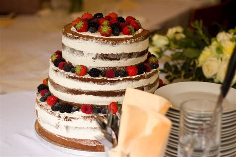 Vanilkov Semi Naked Dort S Lesn M Ovocem