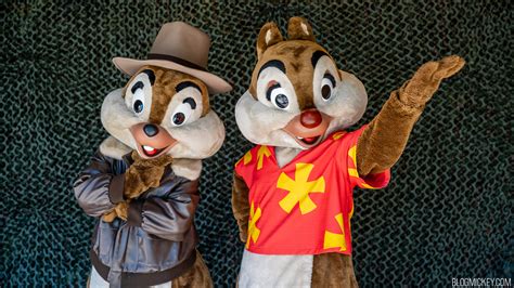 New Chip & Dale Rescue Rangers Meet and Greet Debuts at Disney's ...