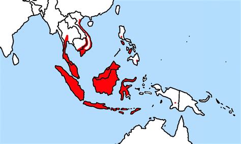 rice field rat rattus argentiventer