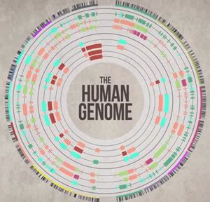 Difference between Genetics and Genomics | Genetics vs Genomics