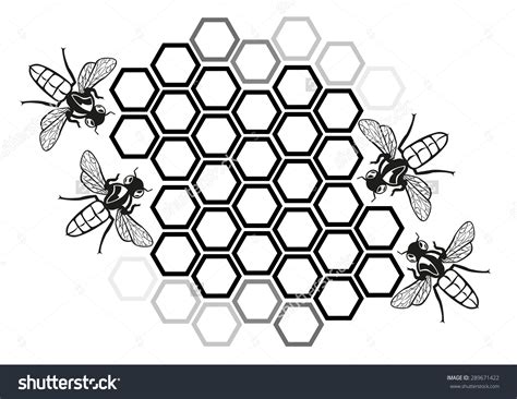 Honeycomb Formation Clipart Clipground