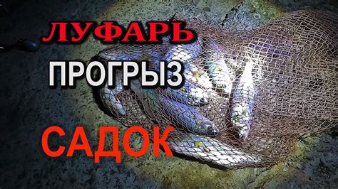Ловля Луфаря. Морская рыбалка с берега. РАЗВЯЗАЛСЯ САДОК. Куда делась ...
