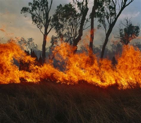 Black Saturday Bushfires in Australia | Tevredenheid, Brandweer, Fotografie