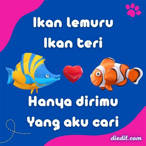 pantun ikan teri lucu menghibur hati dieditcom