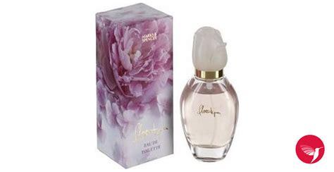 Florentyna Marks and Spencer perfume - a fragrance for women