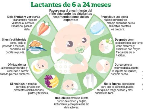 Lactantes E Lactentes - Recomendaciones alimentació lactantes | Alimentacion bebe, Alimentacion ...