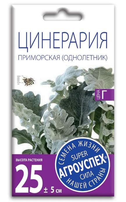 Цинерария Приморская ООО "ТПК "РОСТИ" | отзывы