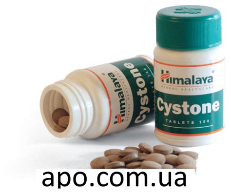 Цистон(Cystone) №60 табл