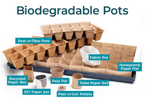 Comparing Biodegradable Plant Pots Garden Gate
