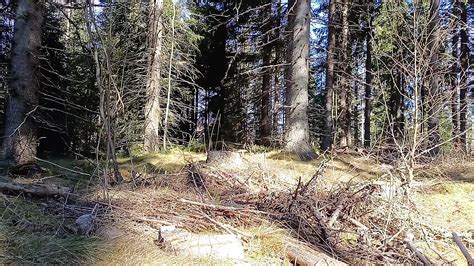 Naked Hike Gay Masturbation Masturbation Porn Feat Persamus XHamster