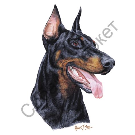 Доберман футболка