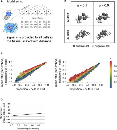 Distance-based neighbor signaling: model setup and simulation results ...