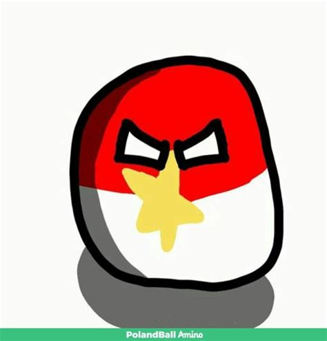 russian fssr    pfp polandball amino
